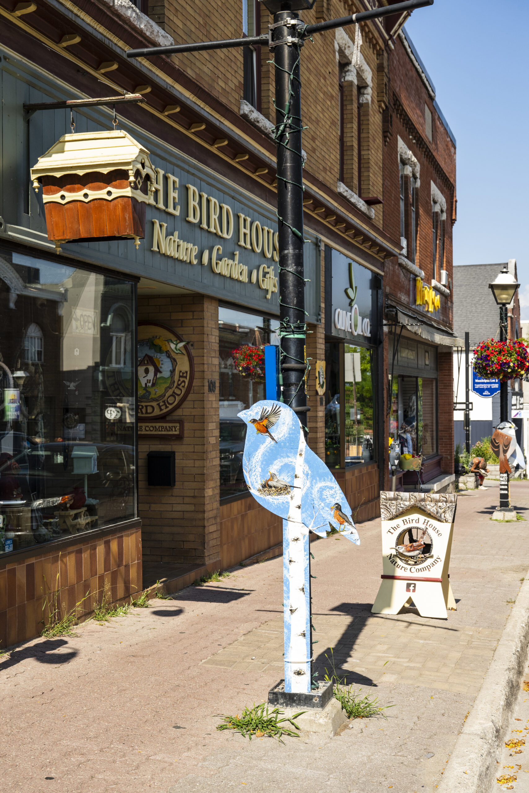 The Bird House Nature Company in Orillia, Ontario