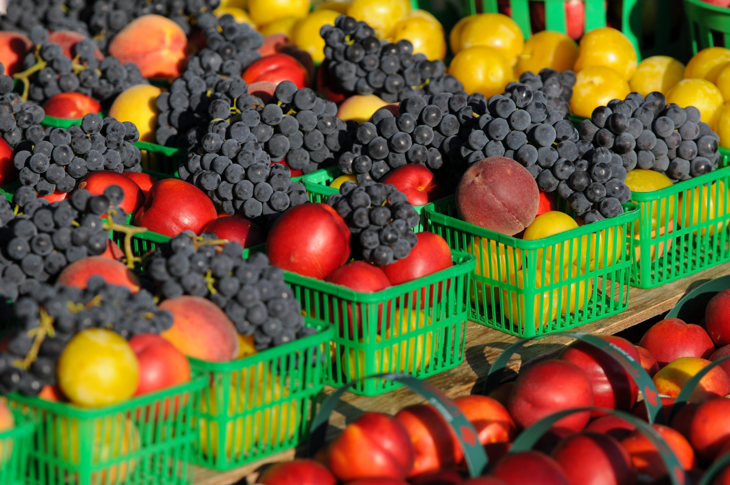 Orillia Farmers’ Market in Orillia, Ontario